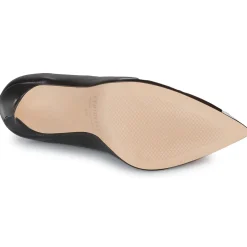 Fericelli - ALMUCEDI