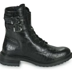 Fericelli - CALLIOPE