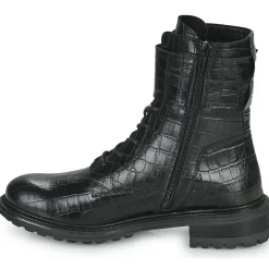 Fericelli - CALLIOPE