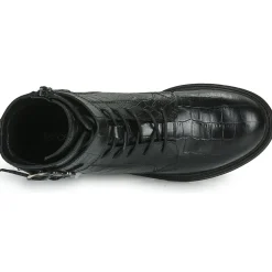 Fericelli - CALLIOPE