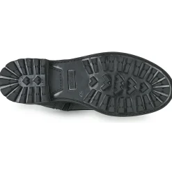 Fericelli - CALLIOPE