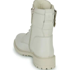 Fericelli - CALLIOPE