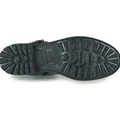 Fericelli - CALLIOPE