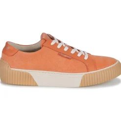 Fericelli - FEERIQUE