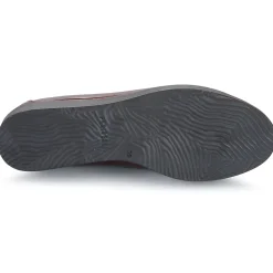 Fericelli - JOLLEGNO