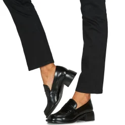 Freelance - ANAIS 50