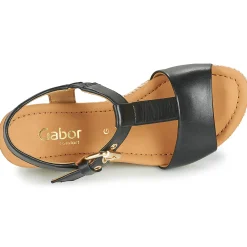 Gabor - 6282457