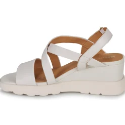 Geox - D SPHERICA EC6