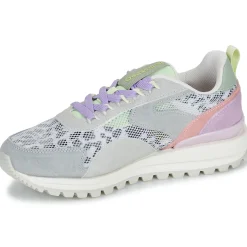 Gioseppo - CAVENDISH