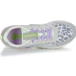 Gioseppo - CAVENDISH