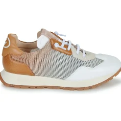 Hispanitas - KANSAS-BHV25386