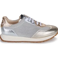 Hispanitas - KANSAS-CHV25386