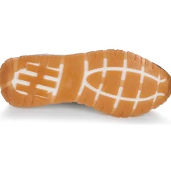 Hispanitas - KANSAS-CHV25386