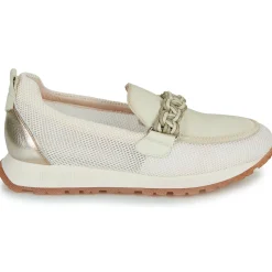 Hispanitas - KANSAS-HV253948