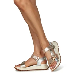 Hispanitas - MAUI-CHV25389