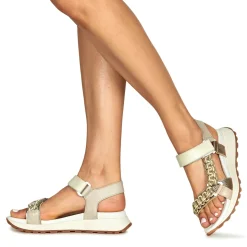 Hispanitas - MAUI-HV253898