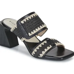 Hispanitas - MIAMI-HV253946