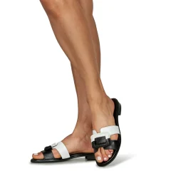 Hispanitas - YAKARTA-HV253881