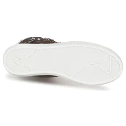 Janet Sport - MOROBRAD