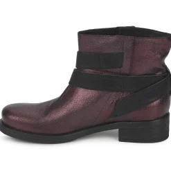 Janet&Janet - URSUS VAN