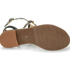 JB Martin - GRIOTTES