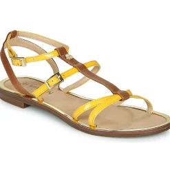 JB Martin - GRIOTTES