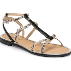 JB Martin - GRIOTTES