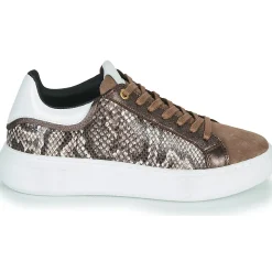 JB Martin - HIBISCUS