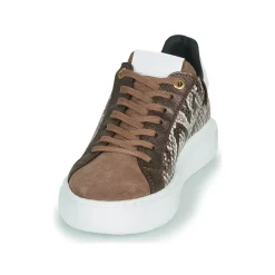 JB Martin - HIBISCUS