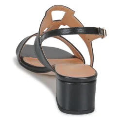 JB Martin - VIOLAINE