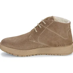 Josef Seibel - ANNA 08