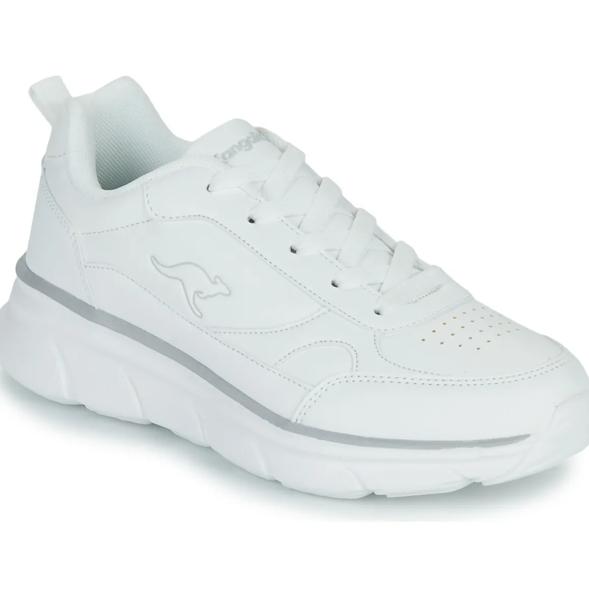 Kangaroos - K-CR Adina