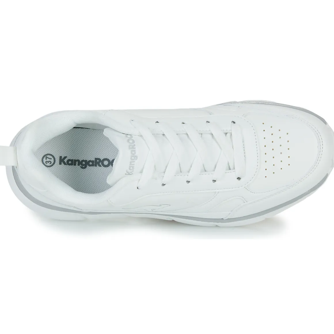 Kangaroos - K-CR Adina