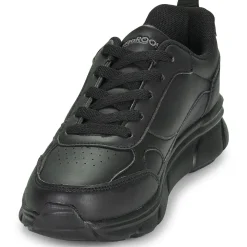 Kangaroos - K-CR Adina