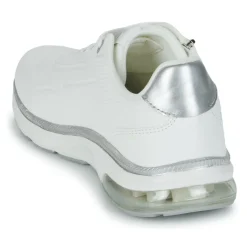 Kangaroos - K-PL Proud RV