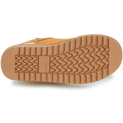 Kangaroos - K-UW Broome