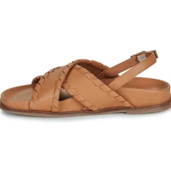 L'Atelier Tropézien - CHV1601