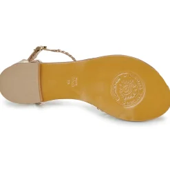 L'Atelier Tropézien - IL2124