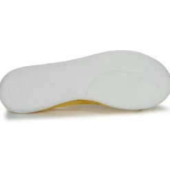 Les Petites Bombes - AVA