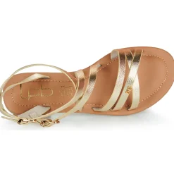 Les Petites Bombes - FIKEN