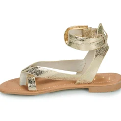 Les Petites Bombes - FIRMA