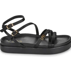 Les Petites Bombes - LEZINE