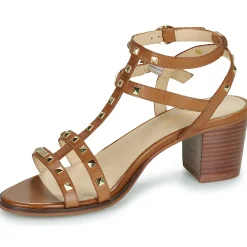 Les Tropéziennes par M Belarbi - LINALIE