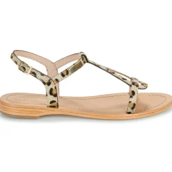 Les Tropéziennes par M Belarbi - HAMAT