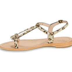 Les Tropéziennes par M Belarbi - HAMAT