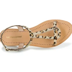 Les Tropéziennes par M Belarbi - HAMAT