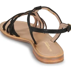 Les Tropéziennes par M Belarbi - HASTRO