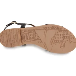 Les Tropéziennes par M Belarbi - HASTRO