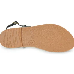 Les Tropéziennes par M Belarbi - HARVIL