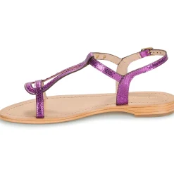 Les Tropéziennes par M Belarbi - HAMAT